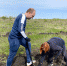 Корочанцы заложили 16000 деревьев на Белой горе - Корочанский район