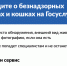 На портале «Госуслуги» можно уведомить о безнадзорном животном. - Корочанский район