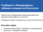 На портале «Госуслуги» можно уведомить о безнадзорном животном.